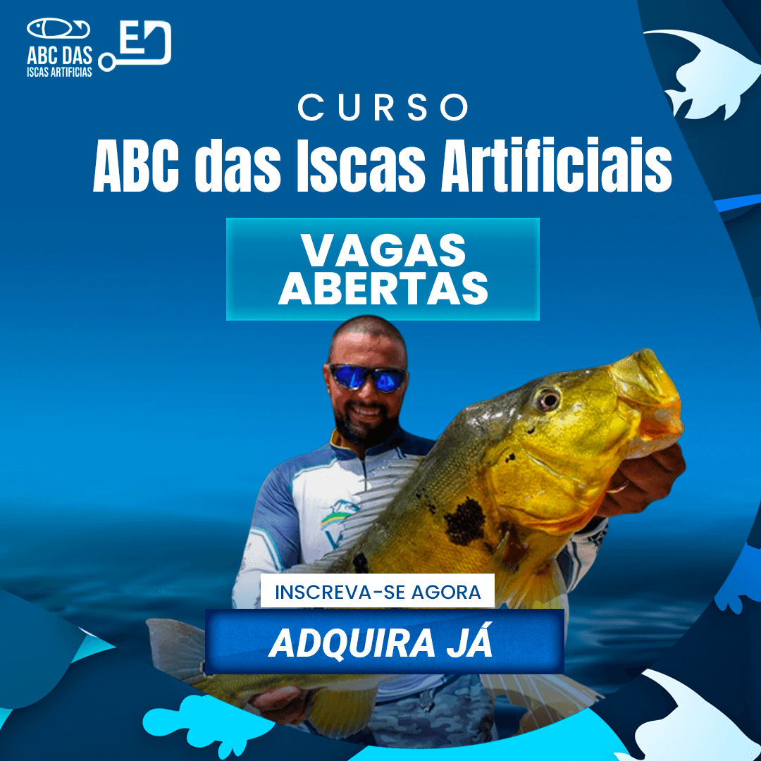 ABC das Iscas Artificiais