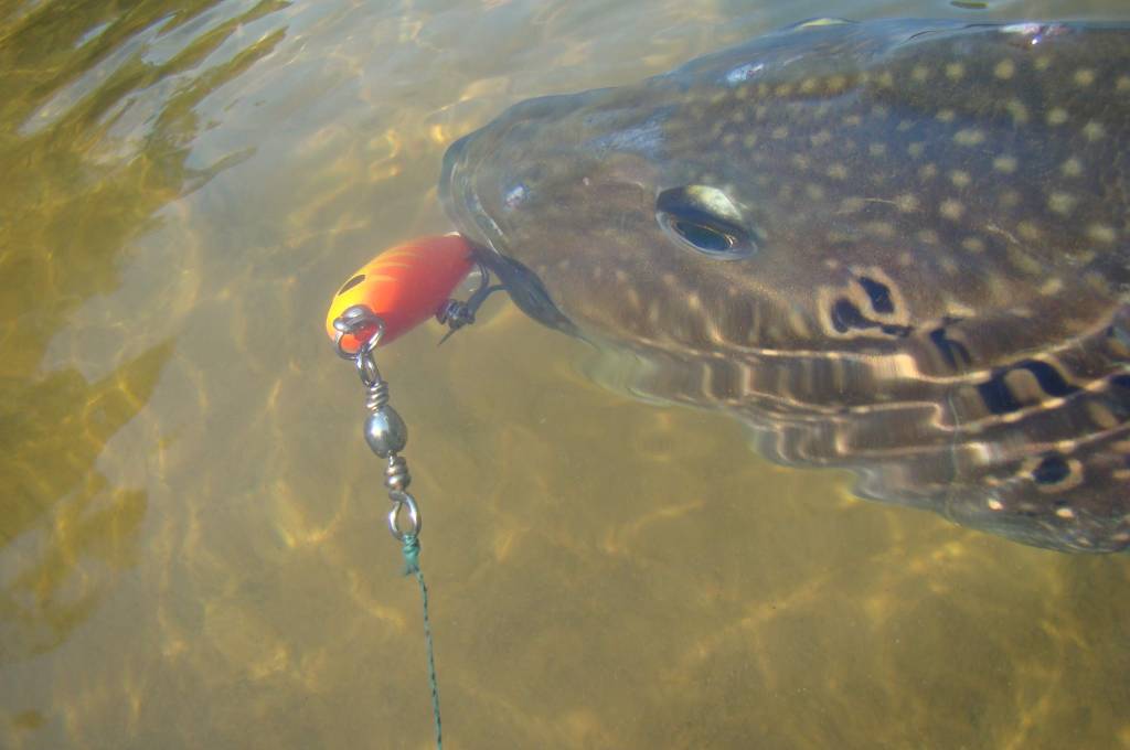 Missão Pesca