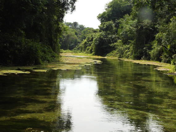 rio são benedito lugar de pesca na Amazônia