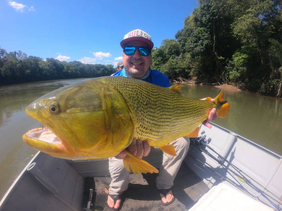 pescador com peixe dourado fisgado na pescaria no pantanal