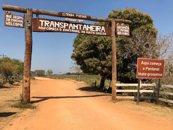 estrada transpantaneira caminho para pescaria no pantanal