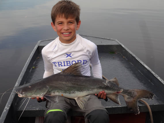 peixe pirarara fisgado no rio negro em pesca na Amazônia