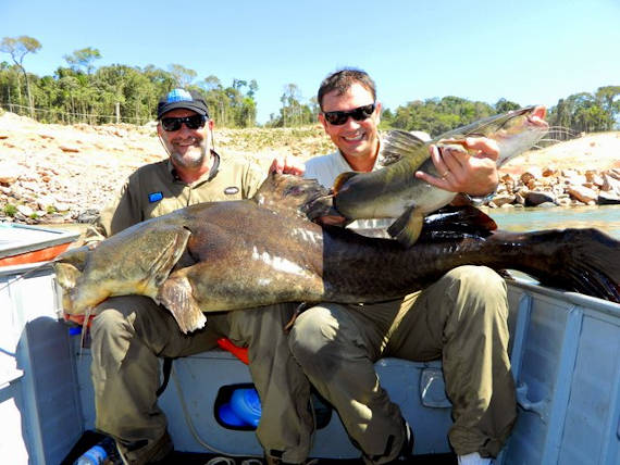 jau fisgado no rio teles pires em pesca na Amazônia