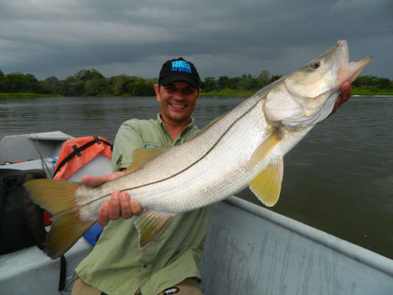 pacotes de pesca de robalo flexa