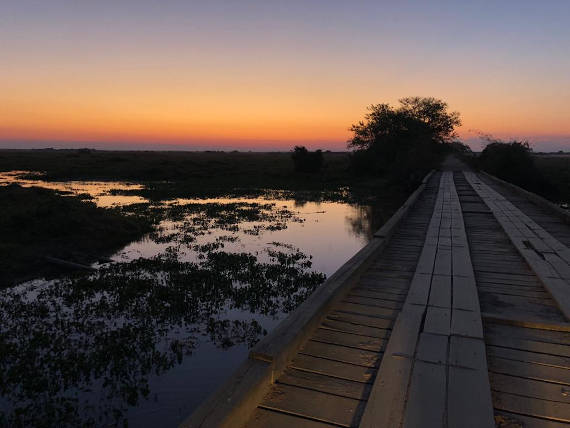 pescaria no pantanal na traspantaneira